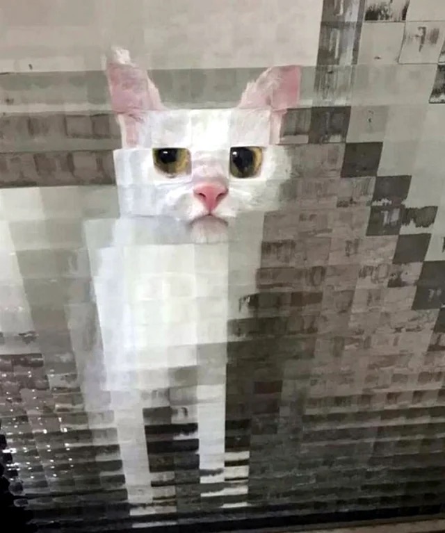 pixelated kitty cat